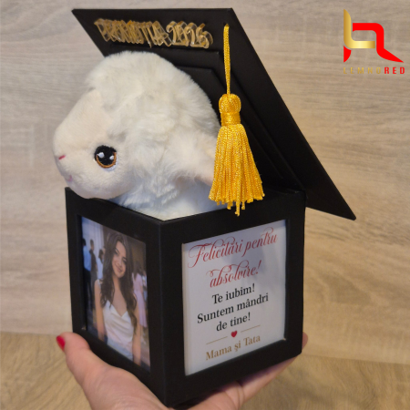 Cadou pentru absolvire - Toca Personalizata cu Poze Mesaj și plus dragalas [2]