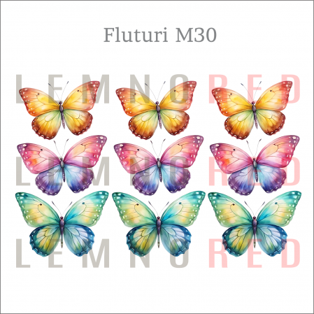 Set 9 fluturi - zeci de modele disponobile [31]
