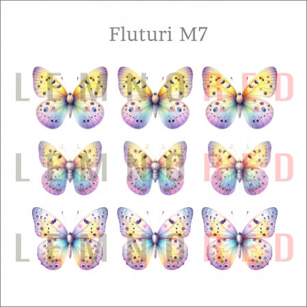 Set 9 fluturi - zeci de modele disponobile [8]