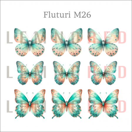 Set 9 fluturi - zeci de modele disponobile [27]
