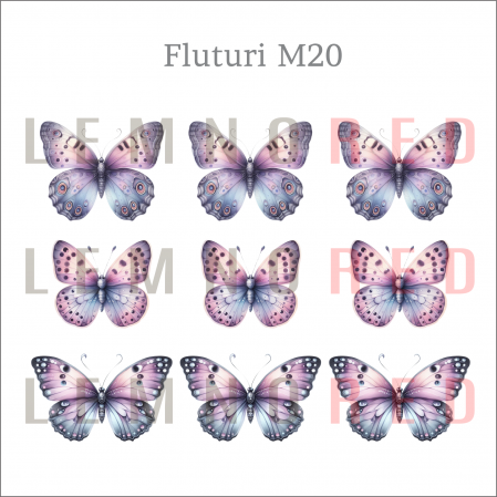 Set 9 fluturi - zeci de modele disponobile [21]