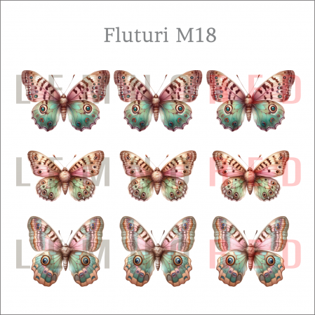 Set 9 fluturi - zeci de modele disponobile [19]