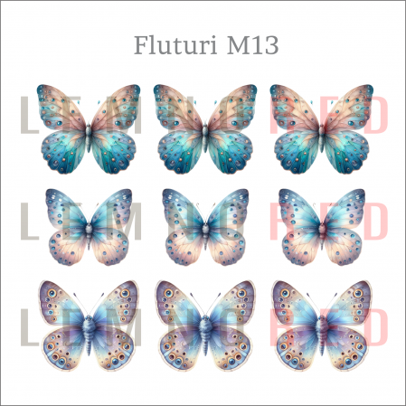Set 9 fluturi - zeci de modele disponobile [14]