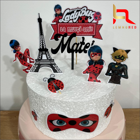 Suita toppere MIRACULOUS (ladybug) [1]