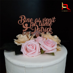 Toppere si ornamente tort - Topper Bine ai venit pe lume personalizabil