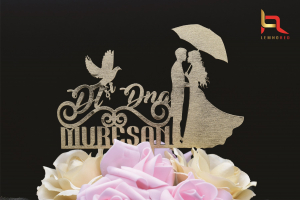 Accesorii nunta - Topper nunta personalizat cu numele familiei