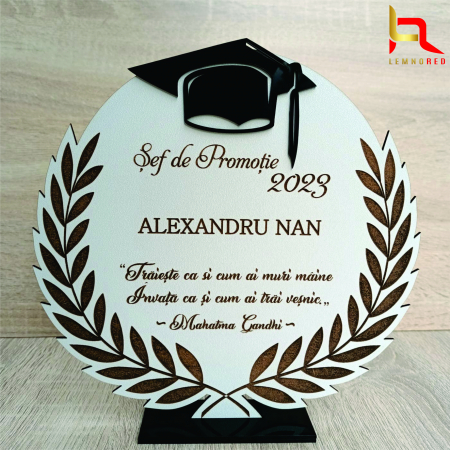 Scoala/Absolvire - Trofeu personalizat pentru absolvent/a
