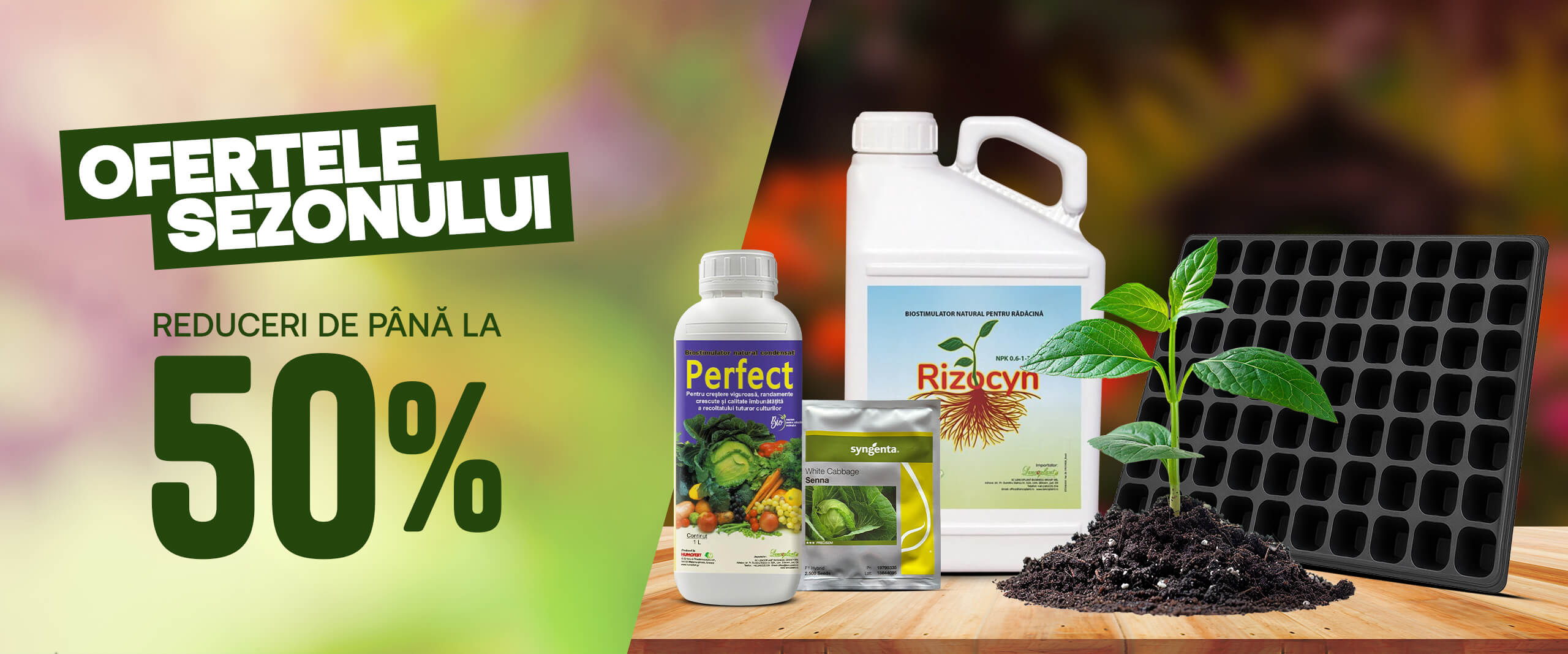 Ofertele sezonului