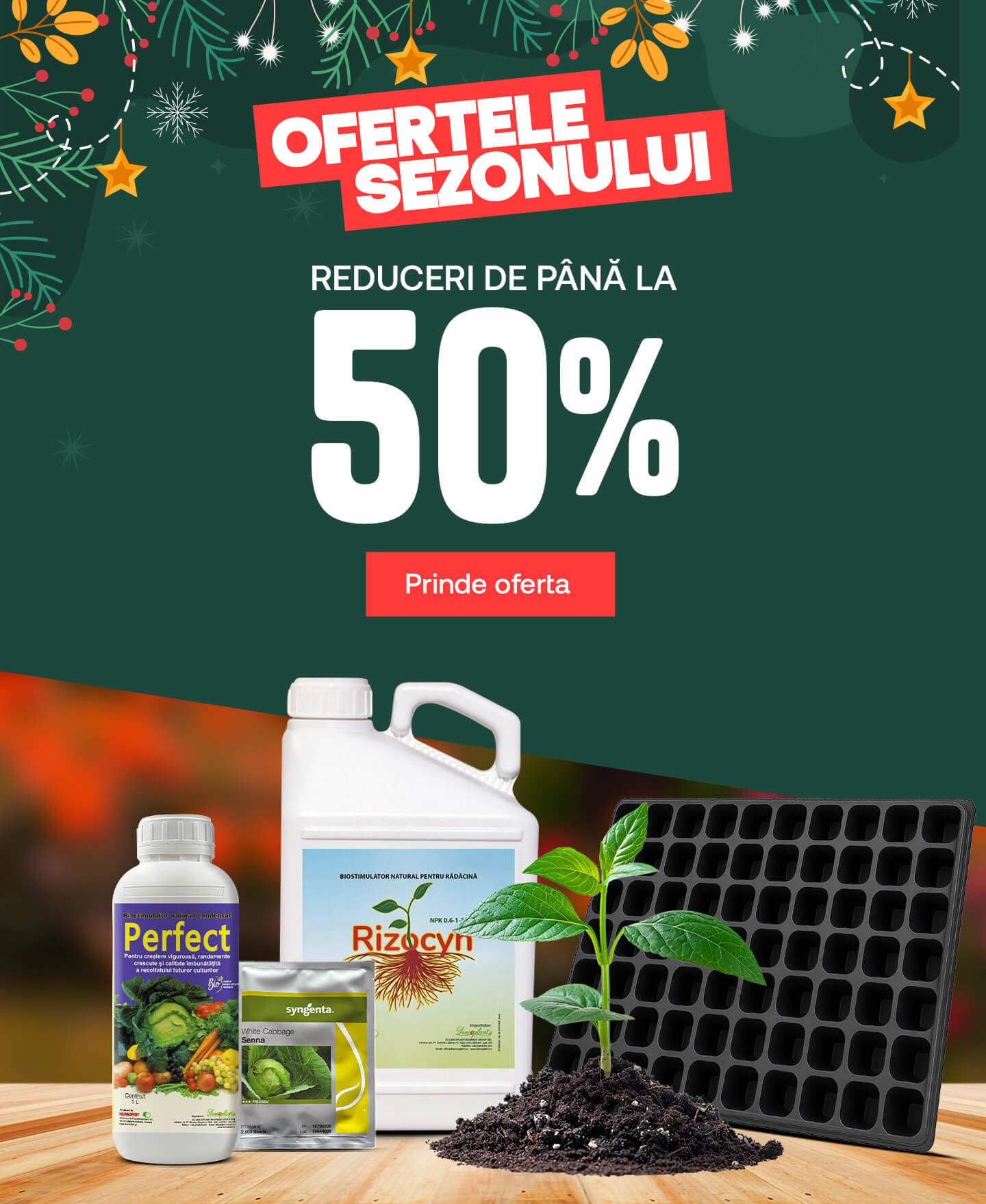Ofertele sezonului [mobile]