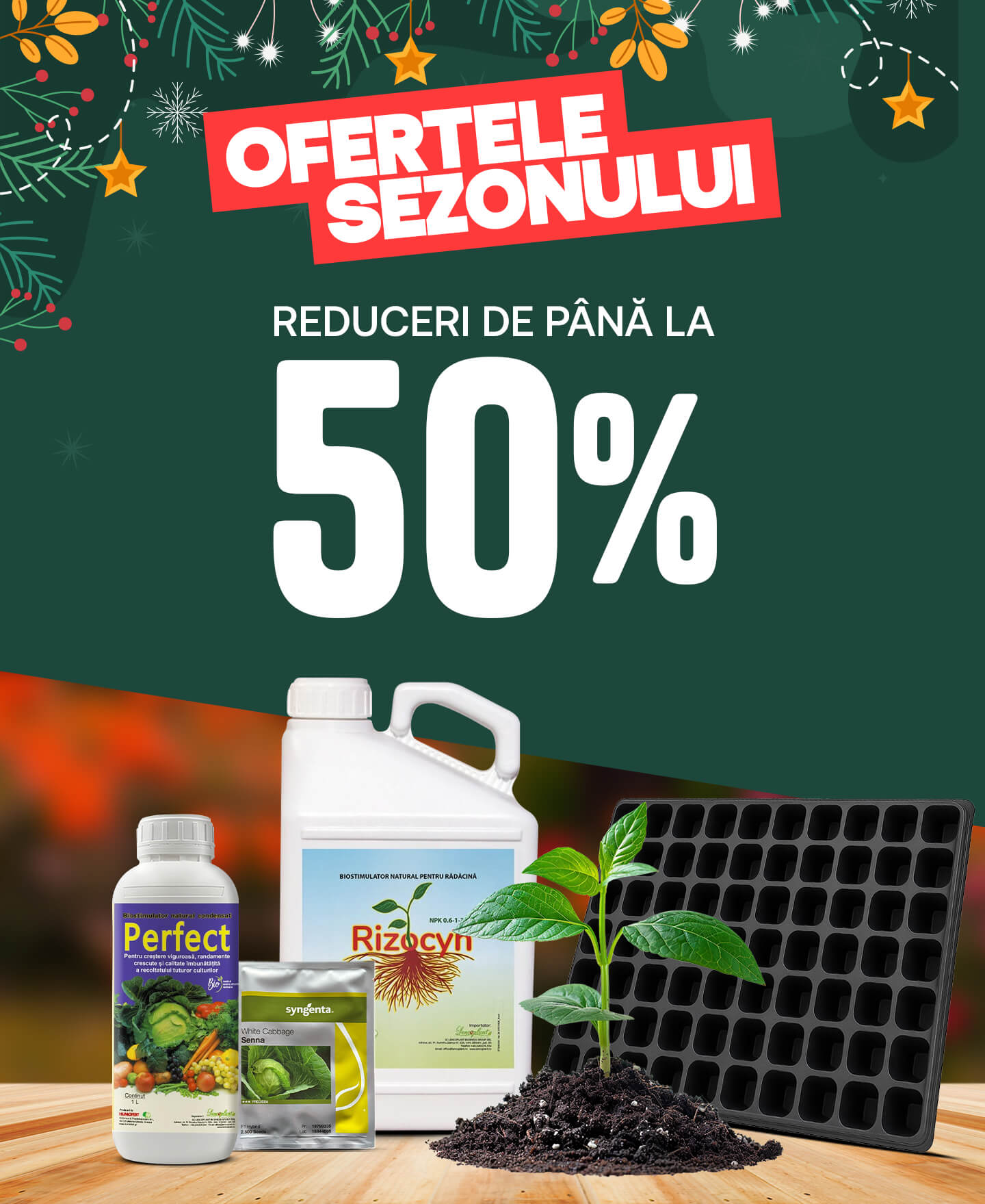 Ofertele sezonului [mobile]