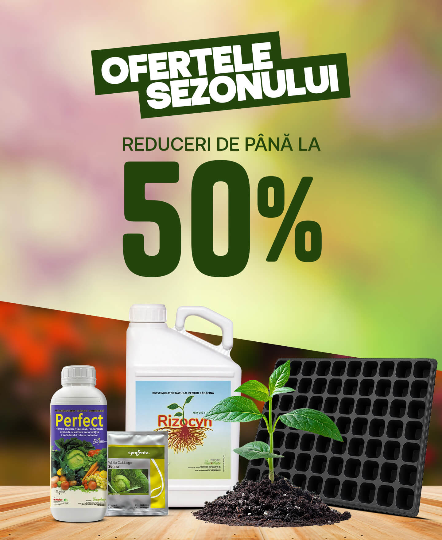 Ofertele sezonului [mobile]