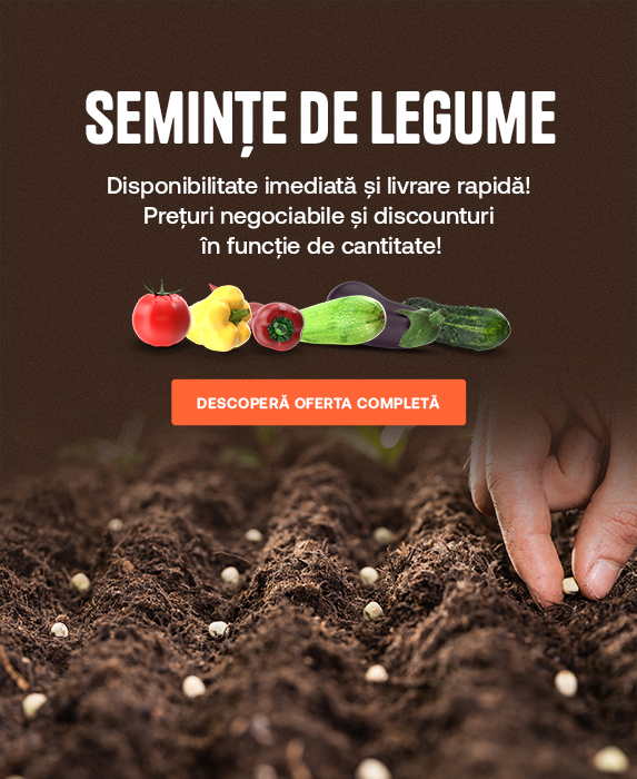 Seminte de legume