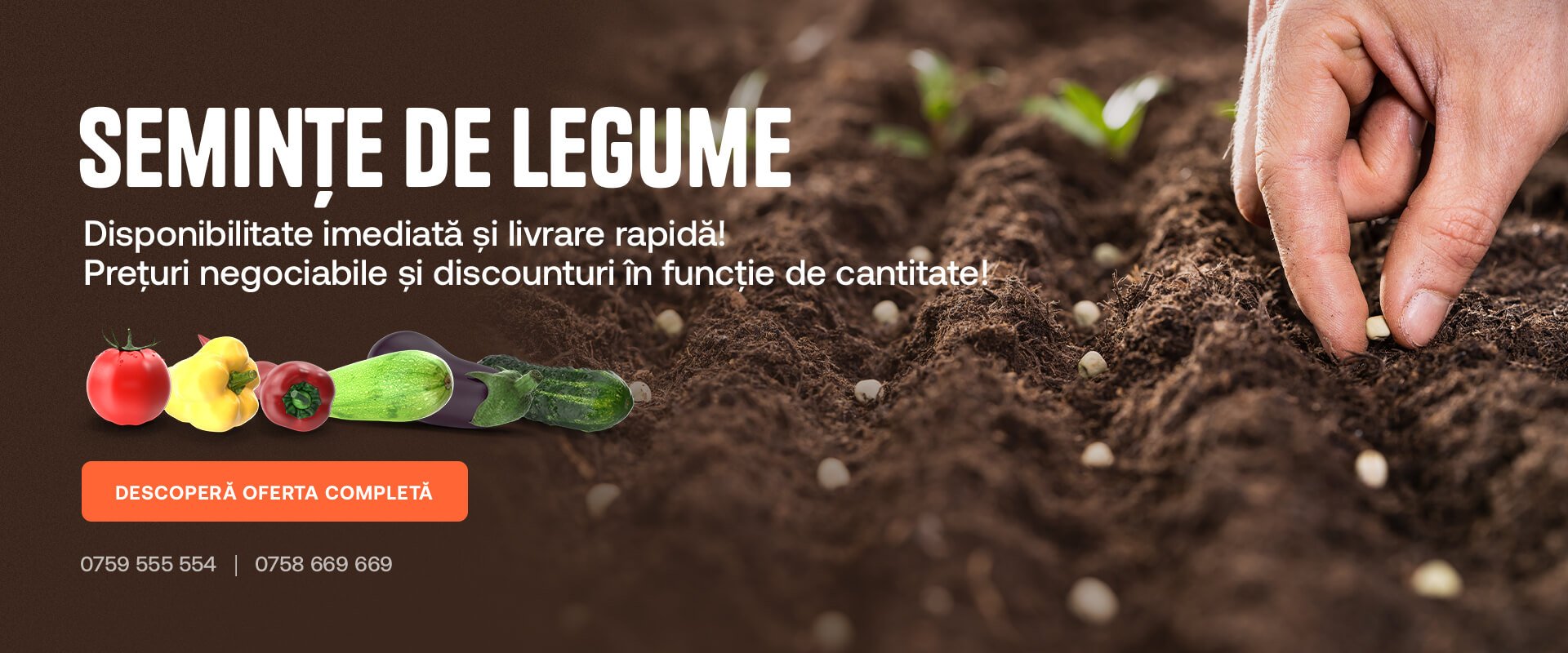 Seminte de legume