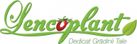 LENCOPLANT
