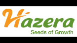 HAZERA