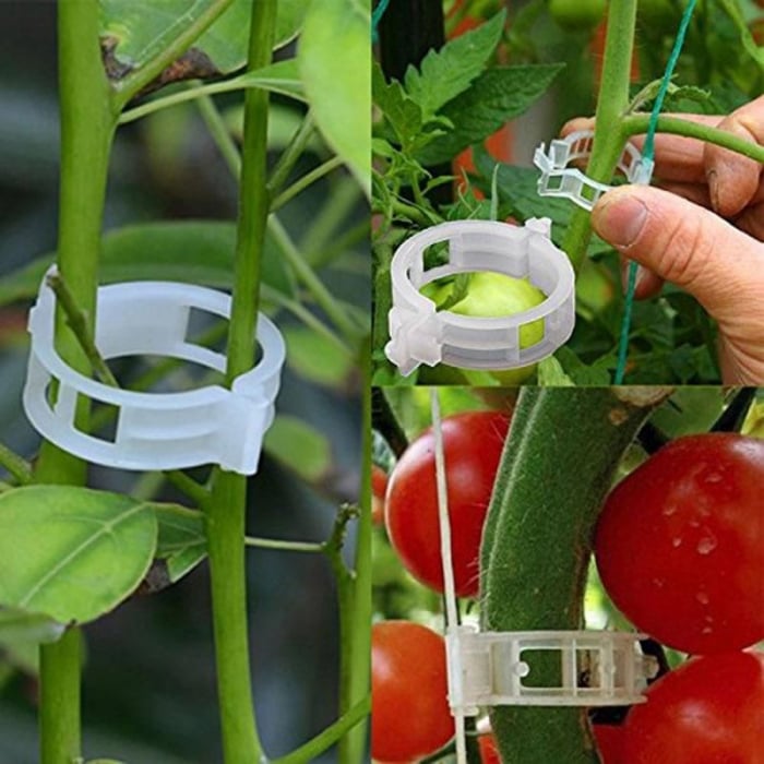 Clipsuri palisare tomate - 1000 buc / kg [1]