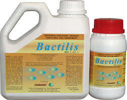 Ingrasamant organic Bactilis [1]