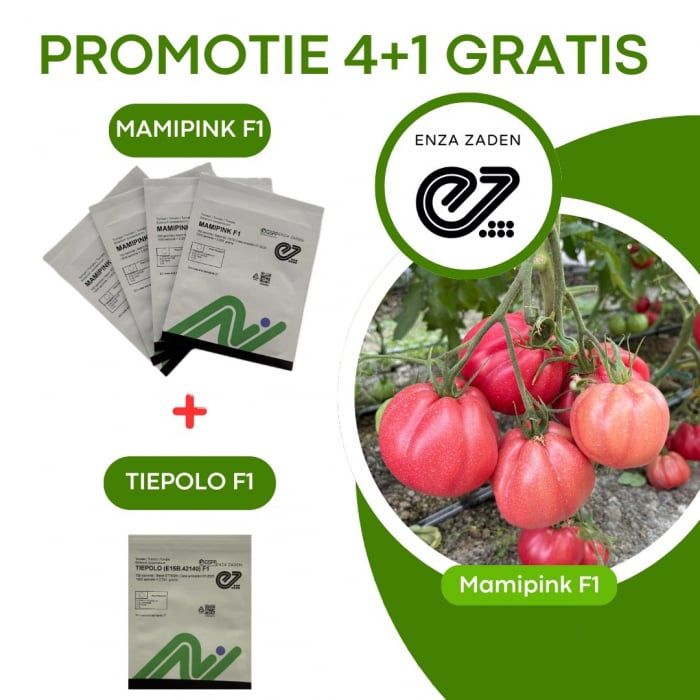 Pachet seminte tomate 4 buc MAMIPINK F1 (E15B.41786)-100 seminte + (1 buc TIEPOLO F1 - 100 seminte gratuit ) [1]