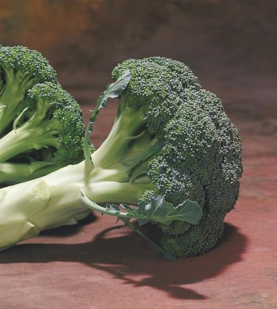 Seminte broccoli CHEVALIER F1 -1000 seminte [2]