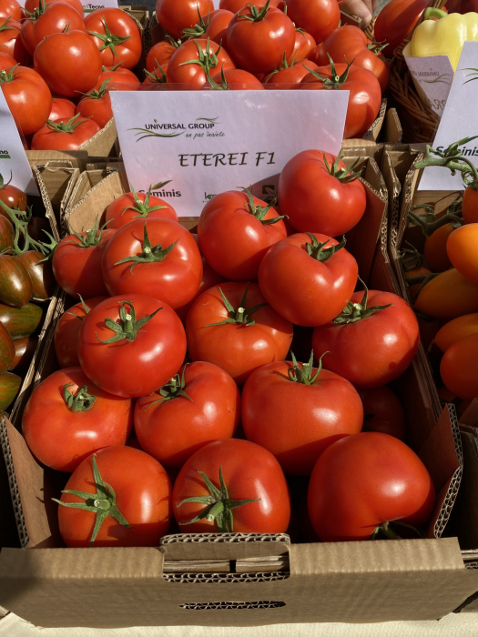 Seminte tomate ETEREI F1 - 500 sem [1]