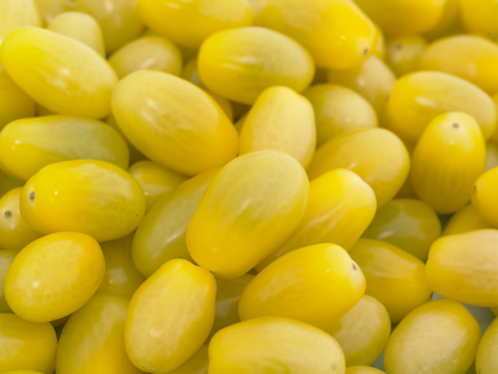 Seminte tomate Ivorino F1 - 500 SEM [1]
