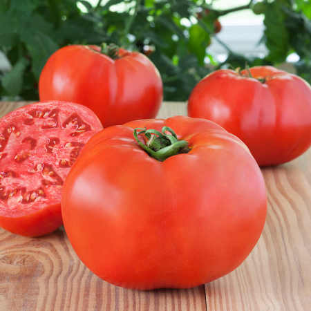Seminte de legume - Seminte tomate BIG BEEF F1 - 500 seminte