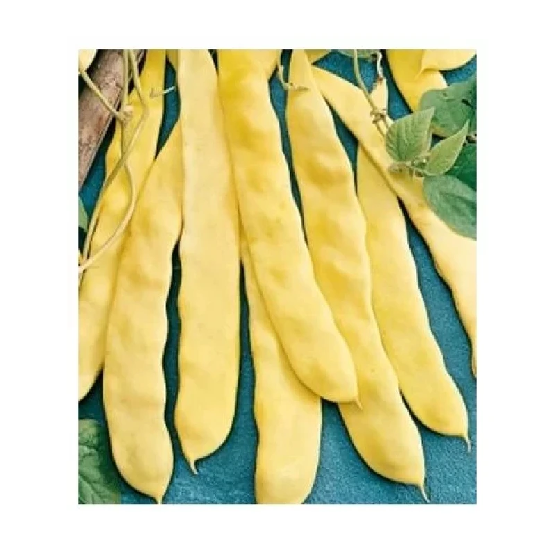 Seminte de legume - Seminte fasole urcatoare TUBA - 100 grame