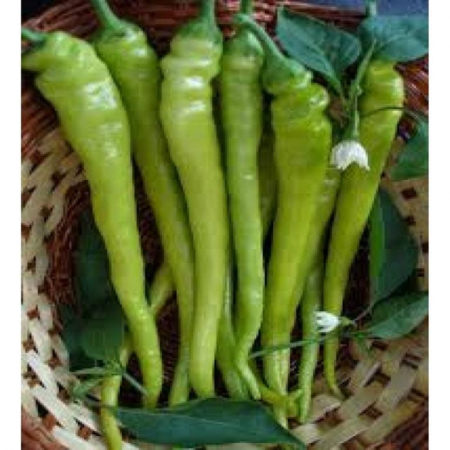 Seminte de ardei iute - Seminte ardei iute Fiyaka F1 - 500 seminte