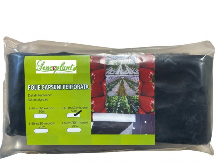 Folie capsuni perforata 30 cm, 60 µ - 1,4 m x 20 m lungime [1]