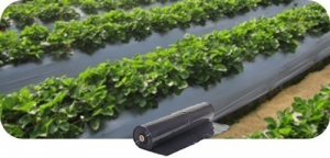Echipamente pentru sere si solarii - Folie mulcire gri sol, 0.8 metri latime, grosime 15 µ - rolă 3.000 metri