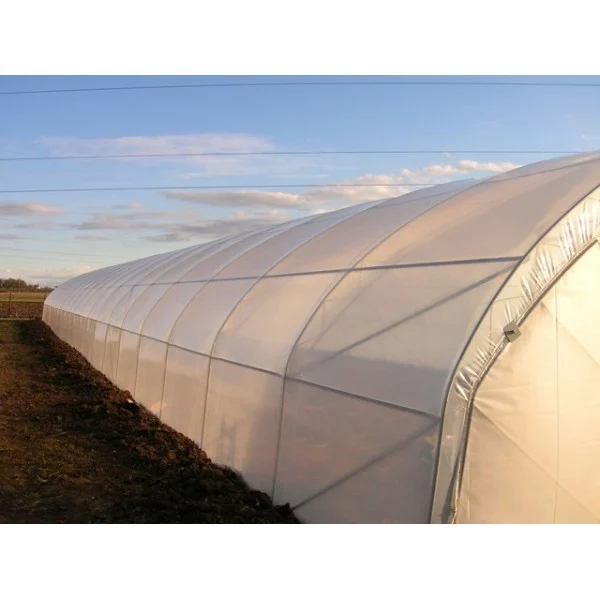 Folie profesionala pentru sere si solarii - Folie solar aditivată 2501 P.K. 12.0 m latime - grosime 150µ - durată de viață de pâna la 5 ani