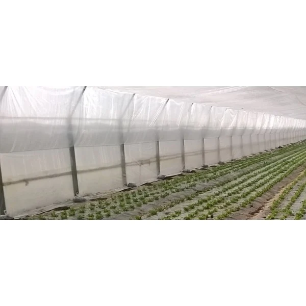 Echipamente pentru sere si solarii - Folie termică EUROPLAST - 50 microni - 3 m lățime