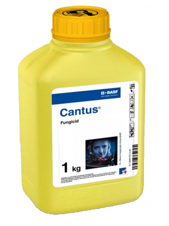 Fungicide - Fungicid Cantus - 1 kilogram, sistemic , vita de vie , rapita