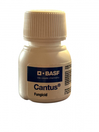 Fungicide - Fungicid Cantus - 10 grame, sistemic , vita de vie , rapita