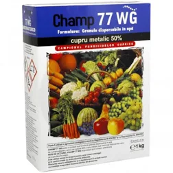 Fungicide - fungicid-champ-77-wg