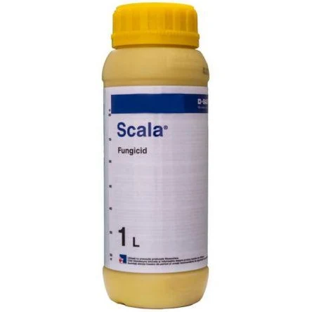 Pesticide - Fungicid Scala, contact - 1 Litru
