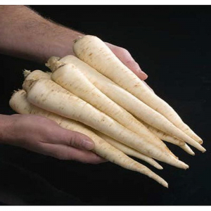 Seminte de legume - Seminte patrunjel de radacina Halfange-Eagle - 50gr