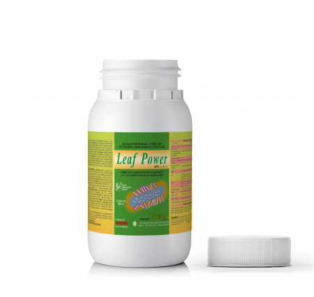Biofertilizatori - stimulator-de-crestere-leaf-powe
