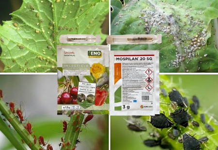 Insecticide-Acaricide - Pachet combatere afide pentru 10 litri apa ( Teppeki 1,5gr + Mospilan 20SG 3 gr + Decis Expert 2,5 ml + Break Thru 2 ml )