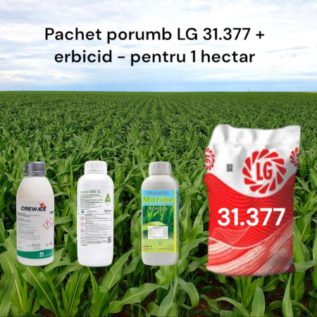 Seminte cultura mare si plante furajere - Pachet porumb LG 31.377 + erbicid porumb pentru aprox 1 hectar ( 1 X CREW ACE 1L + 1 X AMINO 600SL 1L + 1 X MARINE 1L)