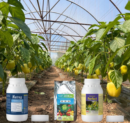 Ingrasaminte N-P-K - Pachet nutritie-dezvoltare plante TRIOVITAL - pentru 60 litri apa (NATREG 250 ml + Perfect 250 ml + Fast Grow plus 20-20-20 - 250 grame)