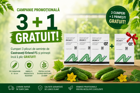 Seminte de castraveti - PACHET PROMO seminte castraveti ERLEND F1 , tip cornichon - 4.000 seminte ( 3 + 1 GRATIS )