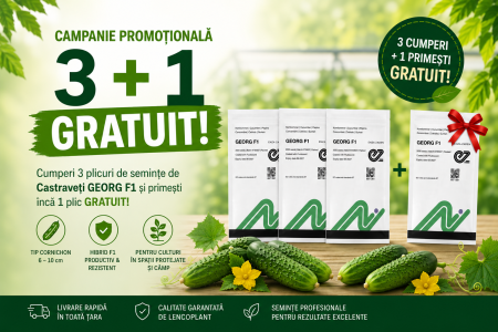 Seminte de castraveti - PACHET PROMO seminte castraveti GEORG F1 , tip cornichon - 2.000 seminte ( 3 + 1 GRATIS )
