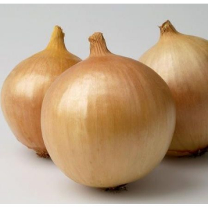 Seminte de ceapa - Seminte ceapă Franzisco - 250.000 Seminte