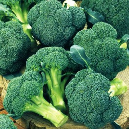 Seminte broccoli IRONMAN F1 -1000 seminte [1]