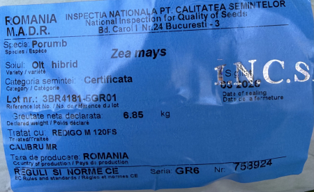 Samanta porumb semi-tardiv OLT - sac 25.000 boabe, FAO 430, calibru MR [1]