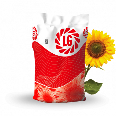 Seminte de floarea soarelui - Seminte de floarea soarelui  LG 55.55 CLP, semi-timpuriu, sac 150.000 seminte