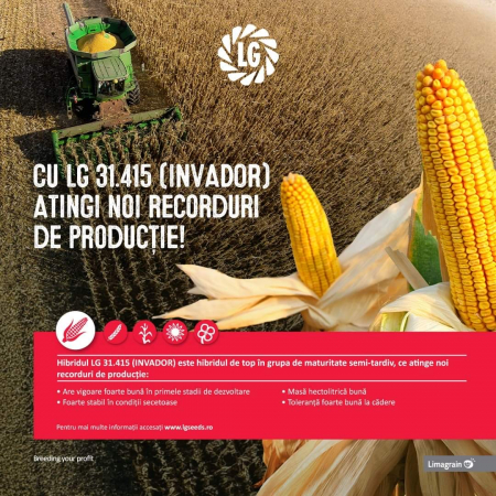 Samanta porumb LG 31.415 (Invador), semi-tardiv - sac 50.000 seminte [4]