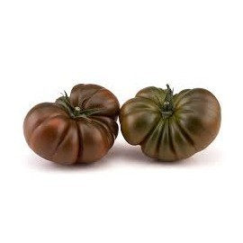 Seminte de legume - Seminte tomate Bucanero F1 , nedeterminate - 100 seminte