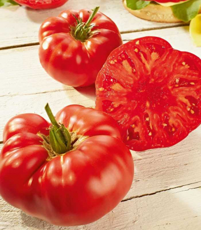 Nedeterminate - Seminte tomate BUFFALOSTEAK F1 (Marmande) - 250 seminte